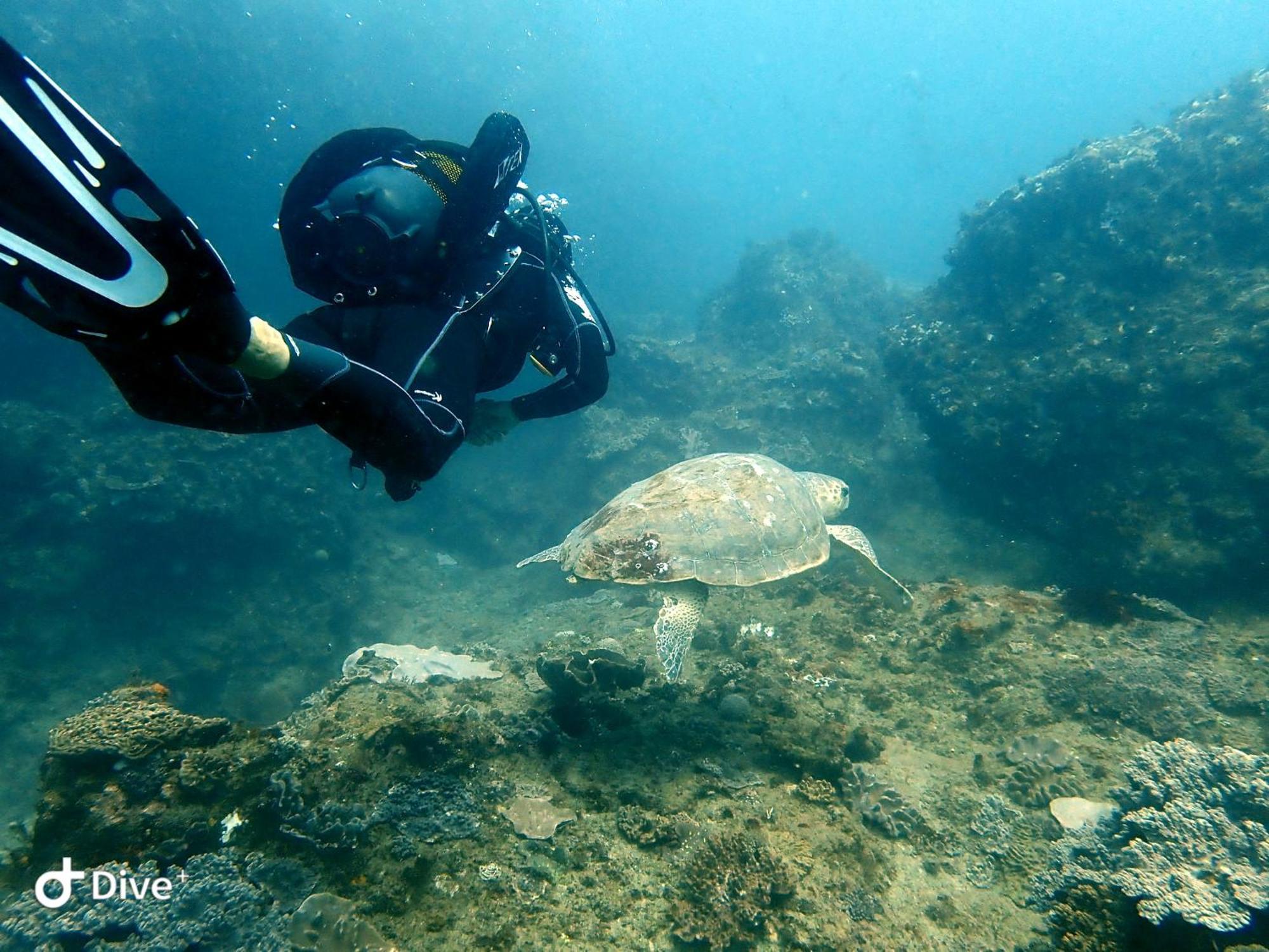 Seaxplore Lodge & Dive Center Sodwana Bay Exterior foto